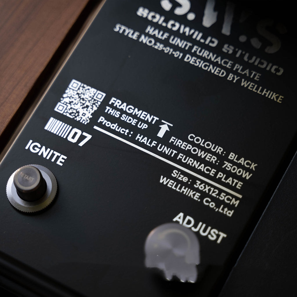 SWS Portable IGT Gas Stove